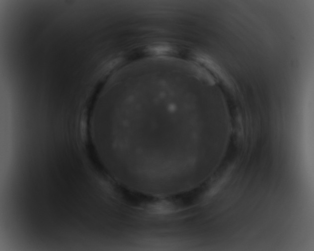 X0000095670696200801081209