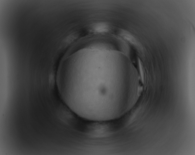 X0000095670697200801081209