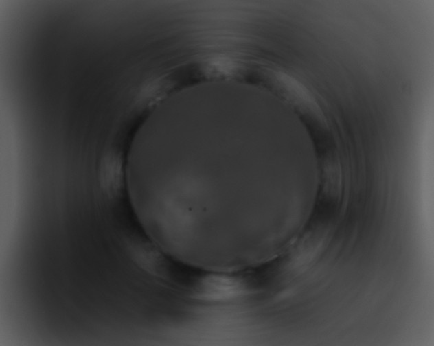 X0000095670699200801081209