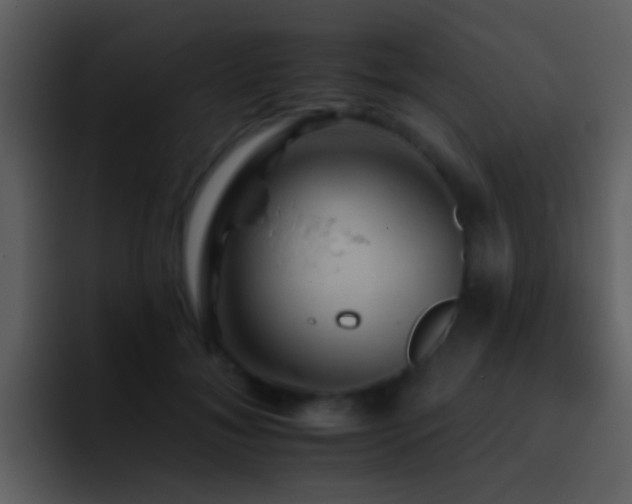 X0000095670700200801081209