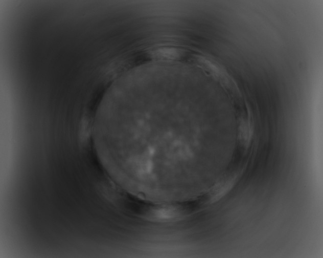 X0000095670701200801081209