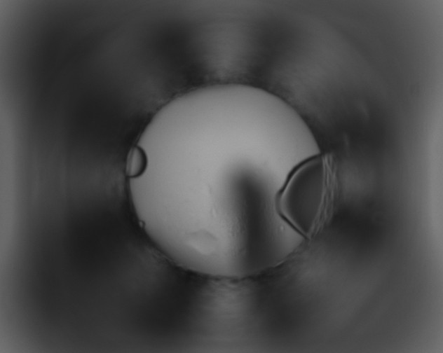 X0000095670703200801081209
