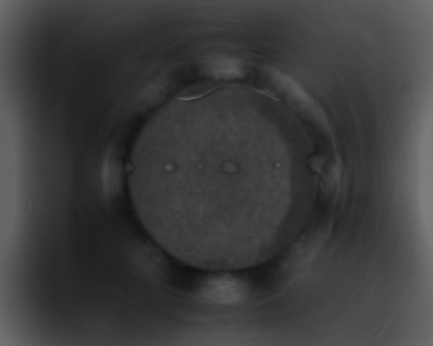 X0000095670704200801081209