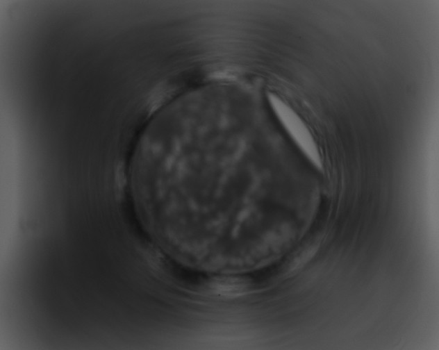X0000095670707200801081209