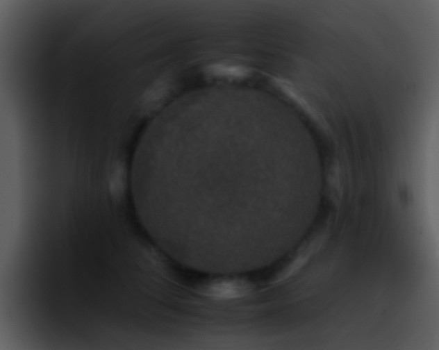 X0000095670708200801081209