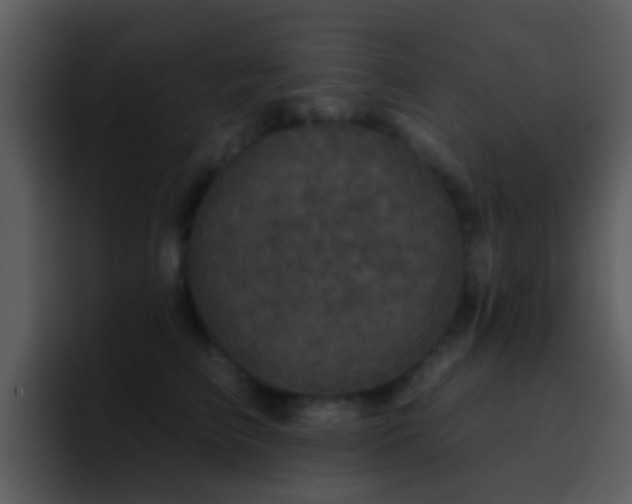 X0000095670709200801081208