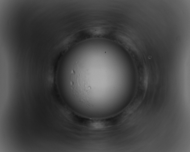 X0000095670710200801081208