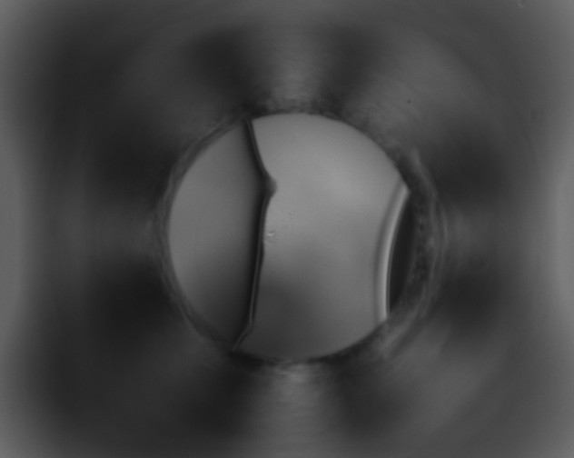 X0000095670711200801081208