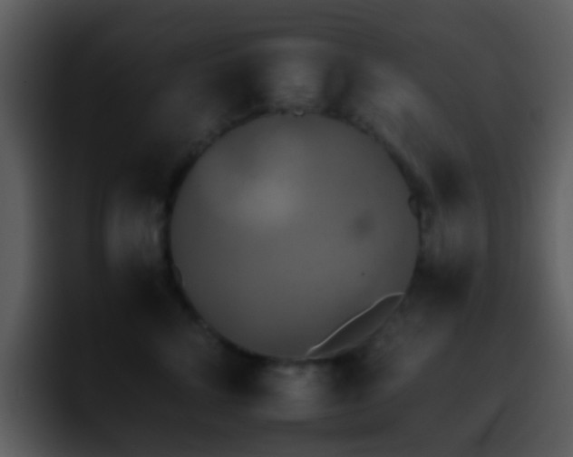 X0000095670712200801081208