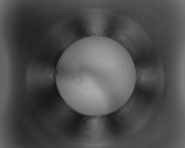 X0000095670717200801081208