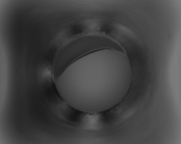 X0000095670720200801081208