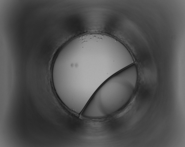 X0000095670721200801081208
