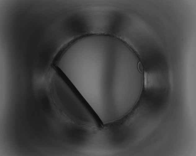 X0000095670723200801081208