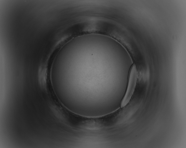 X0000095670724200801081208