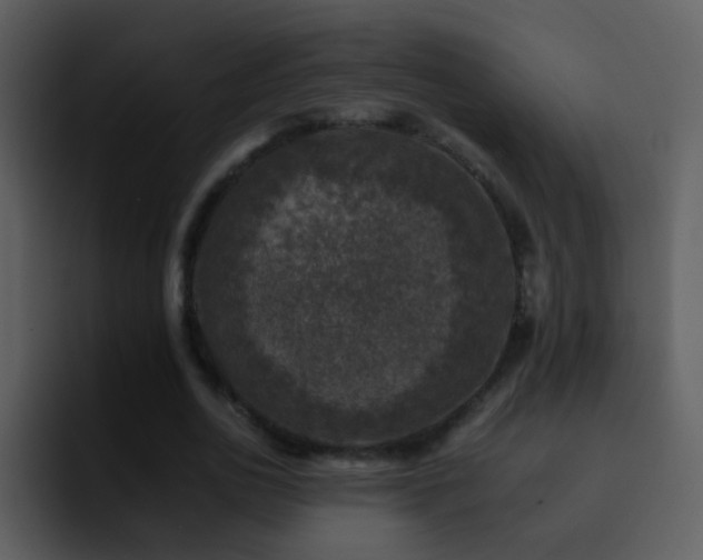X0000095670726200801081208