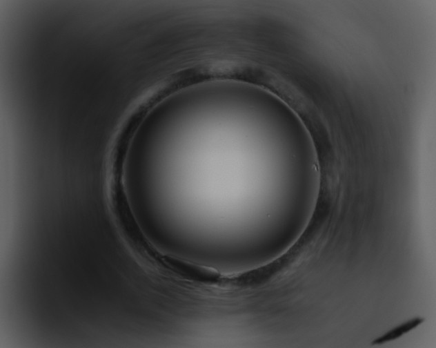 X0000095670728200801081208