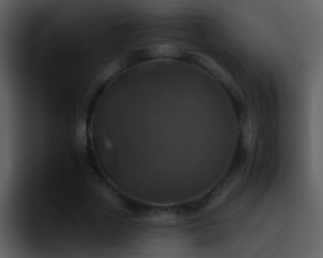 X0000095670729200801081208
