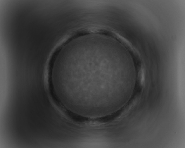 X0000095670730200801081208