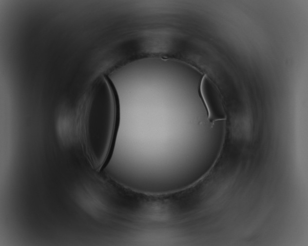 X0000095670731200801081208