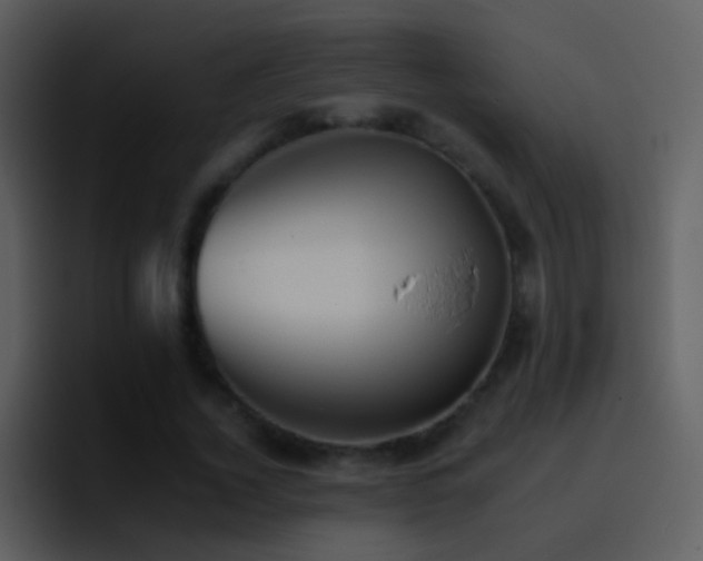 X0000095670732200801081208