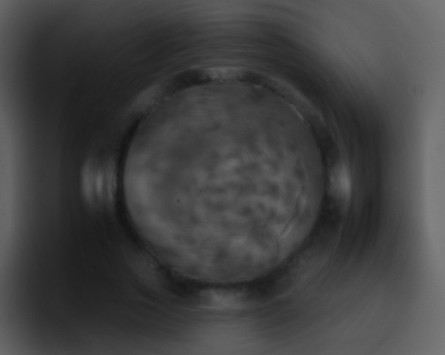 X0000095670733200801081208