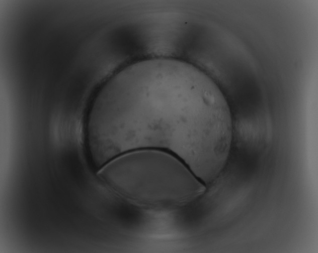 X0000095670734200801081208