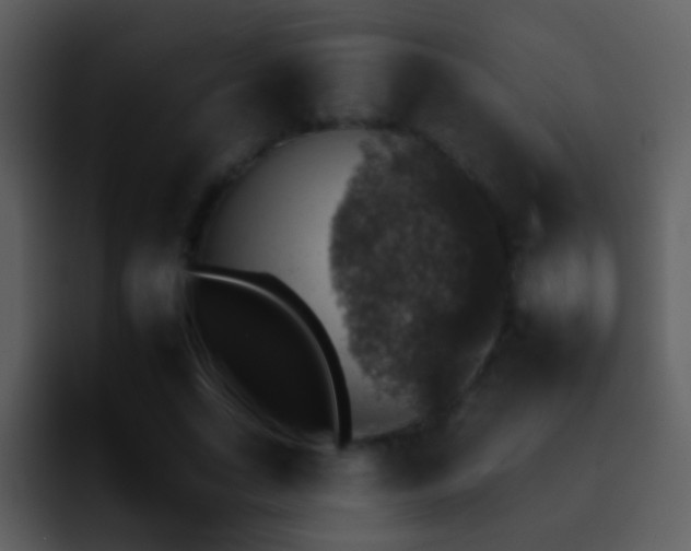 X0000095670735200801081208