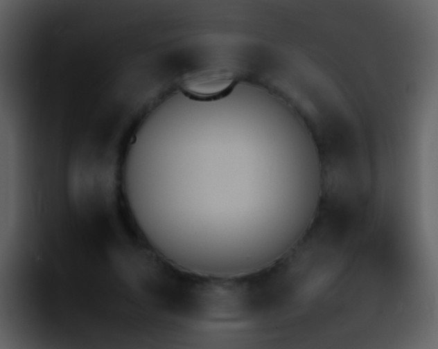 X0000095670736200801081208