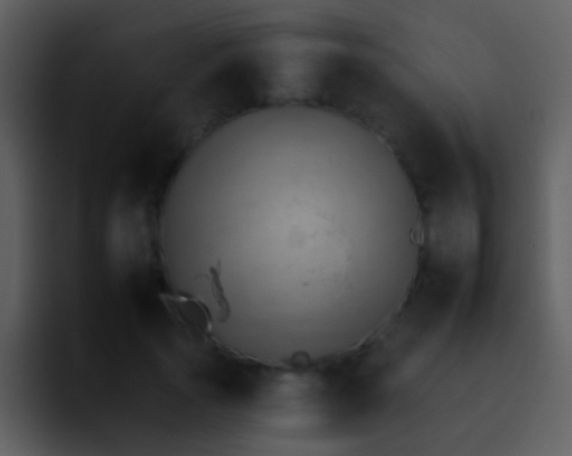 X0000095670737200801081208