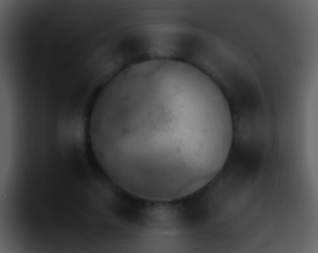 X0000095670738200801081208