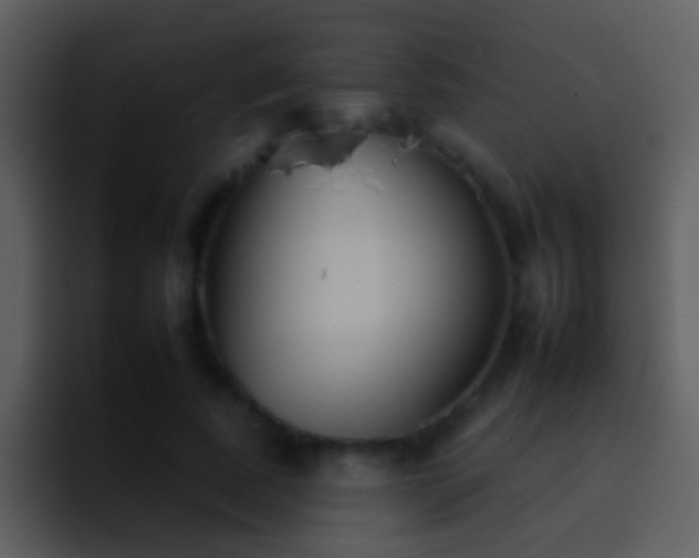 X0000095670739200801081208
