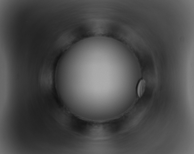 X0000095670740200801081208