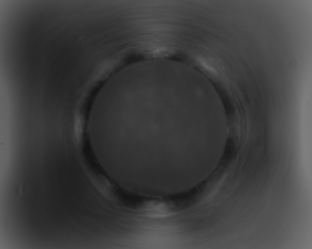 X0000095670742200801081208