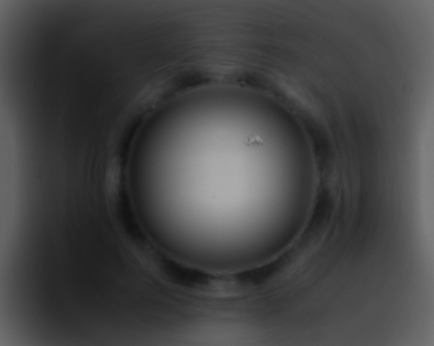 X0000095670744200801081208