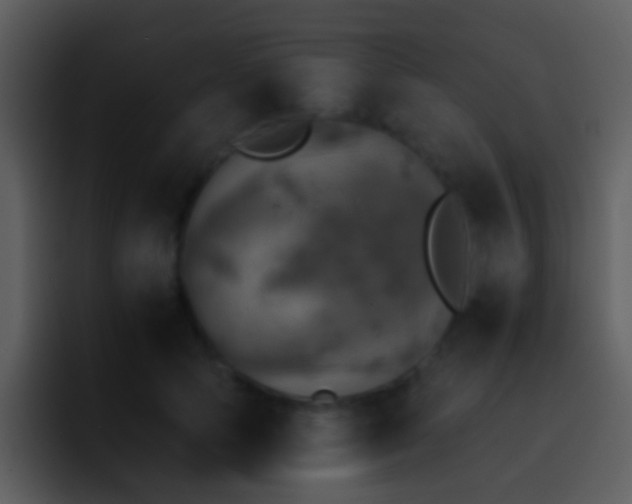 X0000095670745200801081208
