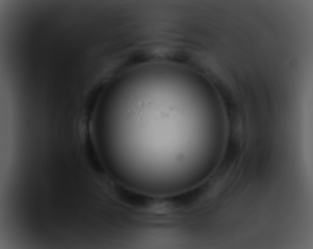 X0000095670746200801081208