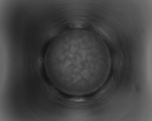 X0000095670747200801081208
