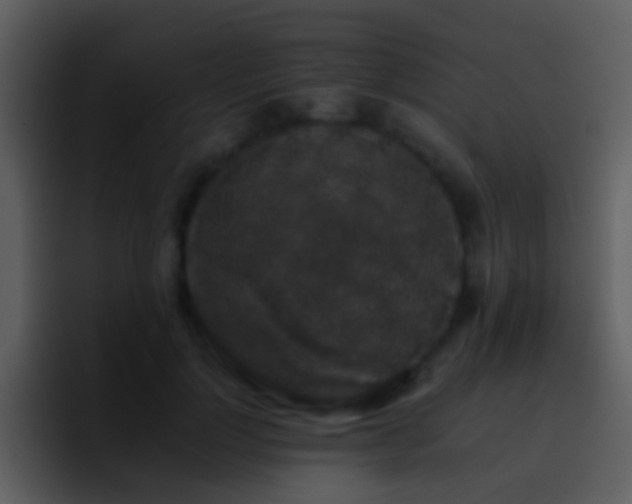 X0000095670748200801081208