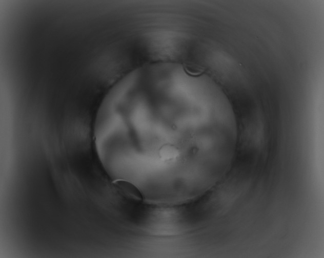X0000095670749200801081208