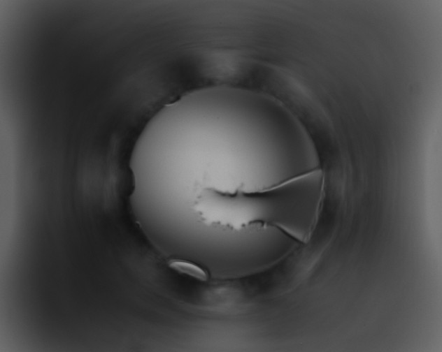 X0000095670750200801081208
