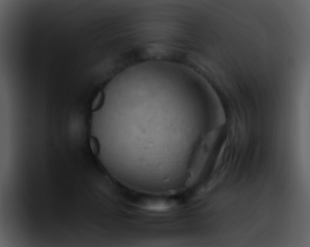 X0000095670751200801081208