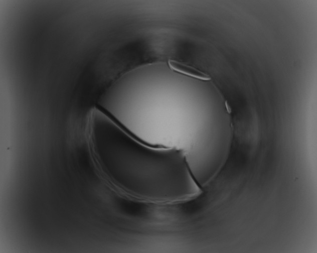 X0000095670752200801081208