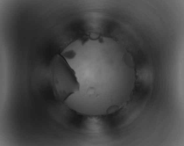 X0000095670753200801081208
