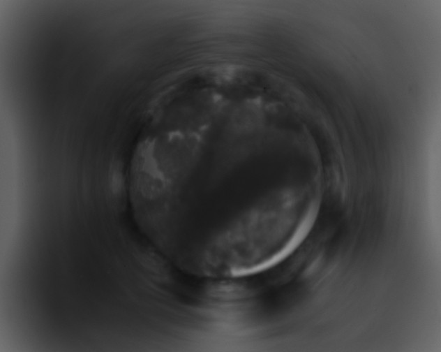 X0000095670754200801081208
