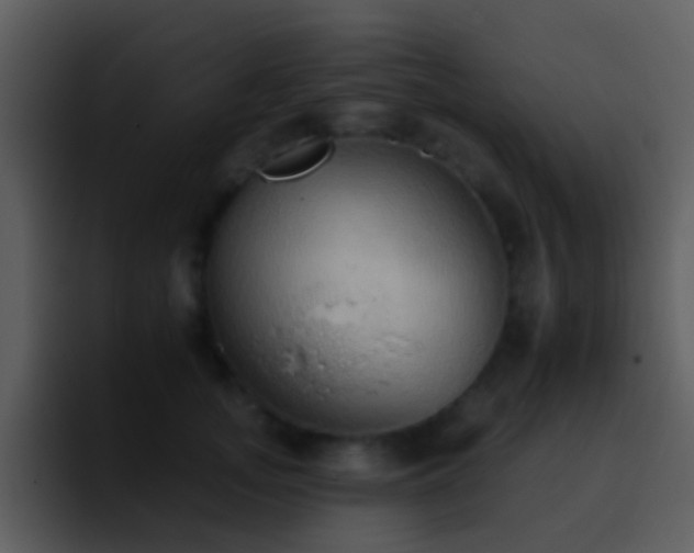 X0000095670755200801081208