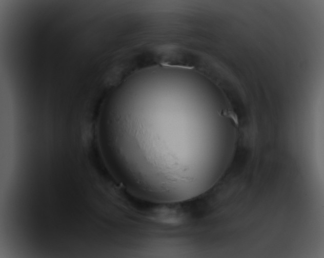 X0000095670756200801081208