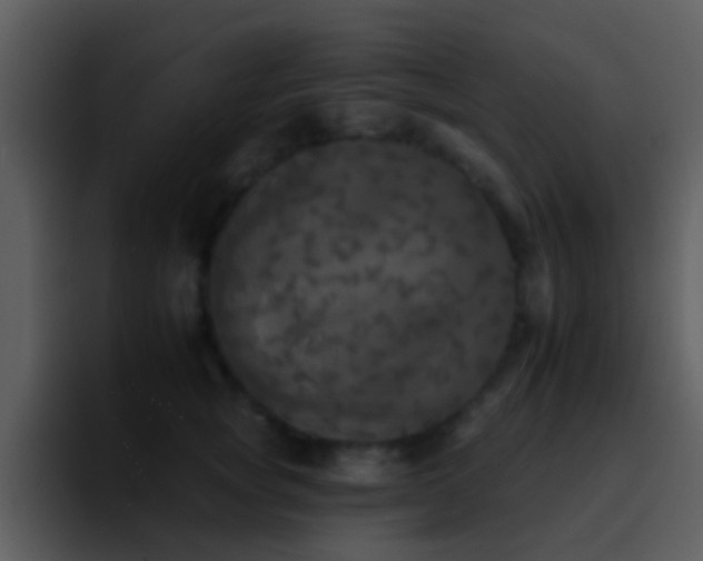 X0000095670757200801081208