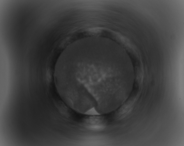 X0000095670758200801081208