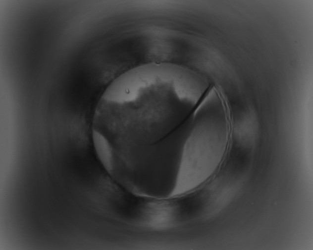 X0000095670759200801081208