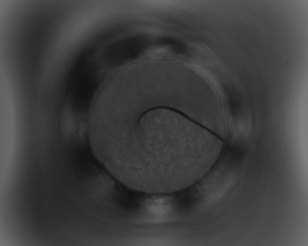 X0000095670760200801081208